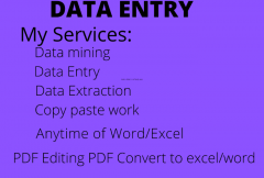 i-can-do-data-entry-for-you