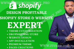 i-will-design-a-profitable-shopify-store-shopify-website