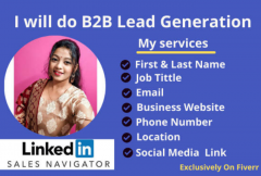 i-will-do-b2b-lead-generation-lead-prospecting-and-email-list-building