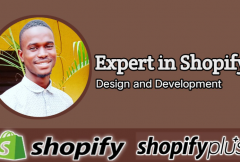 i-will-do-dropshipping-shopify-website-design-shopify-store