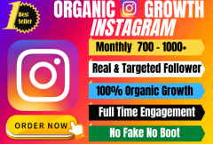 i-will-provide-fast-instagram-organic-growth-and-management-service