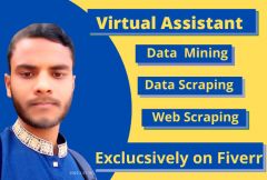 i-will-be-your-executive-virtual-assistant-data-mining-web-scraper