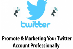 i-will-be-your-social-media-manager-twitter-nft-marketing-with-ads