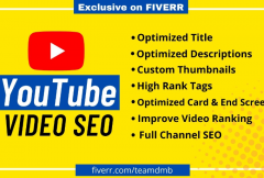 i-will-be-your-youtube-video-seo-expert-for-top-ranking