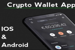 i-will-create-unique-crypto-wallet-app-ui-ux-design-build-mobile-crypto-app