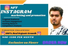 i-will-do-nft-instagram-marketing-or-promotion-and-boost-organic-followers