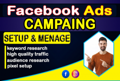i-will-optimize-facebook-ads-campaignsadvertising-on-instagram