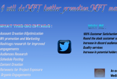 i-will-do-organic-nft-twitter-growth-promotion-nft-marketing