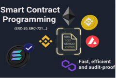 i-will-audit-smart-contract-create-solana-nft-smart-contract-smart-contract-au