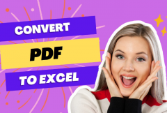 i-will-convert-pdf-to-excel-quickly