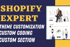 i-will-be-your-shopify-expert-to-customize-shopify-or-dropshipping-store