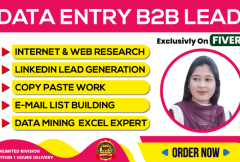 data-entry-b2b-lead-generation-and-linkedin-research