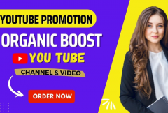 i-will-do-youtube-video-organic-promotion-and-marketing