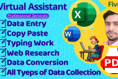 i-can-professional-data-entry-copy-paste-web-research