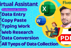 i-will-be-virtual-assistant-for-data-entry-copy-paste-web-research