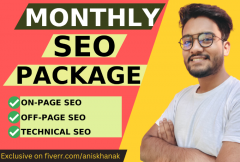 i-will-provide-complete-monthly-seo-package-for-wordpresswixshopify