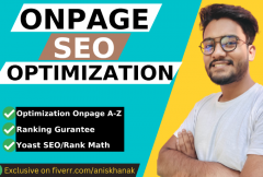 i-will-do-onpage-seo-optimization-for-your-website