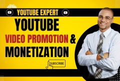 i-will-do-organic-youtube-video-promotion-and-channel-monetization-worldwide