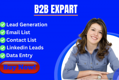 i-will-do-b2b-lead-generation-for-any-business
