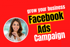 i-will-be-your-facebook-ads-campaign-manager-do-marketing-for-leads-and-sales