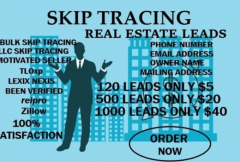 i-will-provide-bulk-skip-tracing-llc-skip-tracing-and-real-estate-leads-with-low