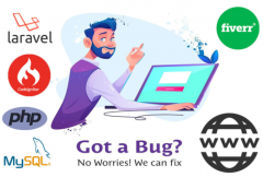 i-will-bug-fix-and-develop-laravel-or-codeigniter-website