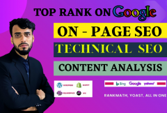 i-will-do-advance-complete-on-page-seo-and-technical-optimization-of-wordpress-w