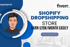build-shopify-dropshipping-store-or-ecommerce-website