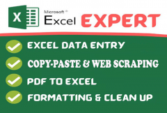 do-excel-data-entrycopy-paste-web-scraping-and-data-cleaning