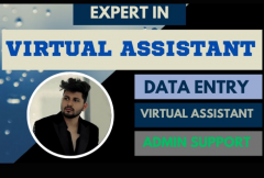 i-will-be-your-professional-virtual-assistant