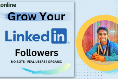 i-will-grow-your-linkedin-business-page-or-profile-page-followers