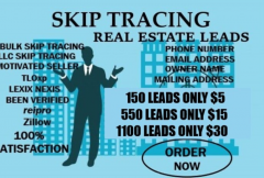 i-will-provide-skip-tracing-service-for-real-estate-with-low-price