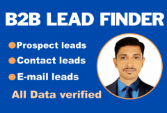 i-will-do-b2b-lead-generation-linkedin-lead-generation-and-b2b-email-leads