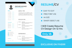 i-will-do-professional-resume-cv-design-creator