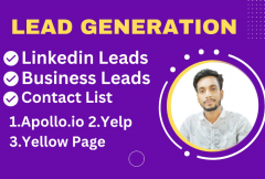 i-can-do-targeted-b2b-lead-generation-contact-list-prospect-list-for-an