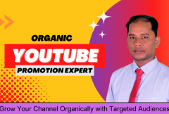 i-will-do-super-fast-organic-youtube-video-promotion