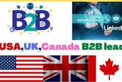 i-can-collect-usa-uk-canada-100k-b2b-leads-or-email-list