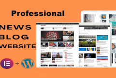 i-can-create-a-professional-wordpress-blog-or-newspaper-website