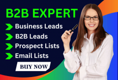 i-will-do-b2b-lead-generation-email-list-building-business-leads-and-prospect