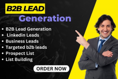 i-will-do-targeted-b2b-lead-generation-linkedin-leads-and-prospect-list