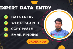 i-will-do-data-entry-copy-past-web-research-and-data-scraping