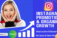i-will-do-fast-organic-instagram-growth