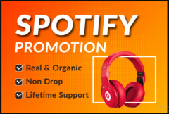 i-will-do-organic-sportify-album-promotion-spotify-music-promotion