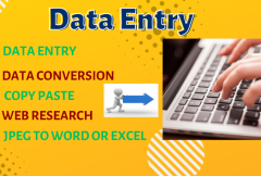 i-can-data-entry-expert-typing-documents-data-collection-copy-paste-pdf-to-word