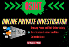 i-will-do-osint-investigation-for-gathering-background-information