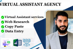 i-will-be-your-virtual-assistant-for-data-entry-and-web-research