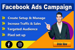 i-will-create-and-setup-profitable-facebook-and-instagram-ads-campaign
