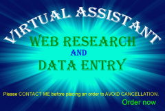 i-will-be-your-best-virtual-assistant-for-web-research-data-entry