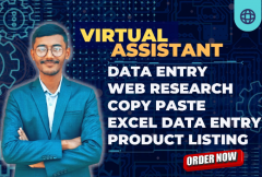 i-will-conduct-earliest-data-entry-deep-web-search-and-information-collection