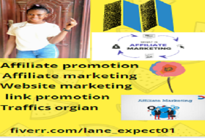 i-will-drive-niche-targeted-usa-traffic-real-organic-web-guest